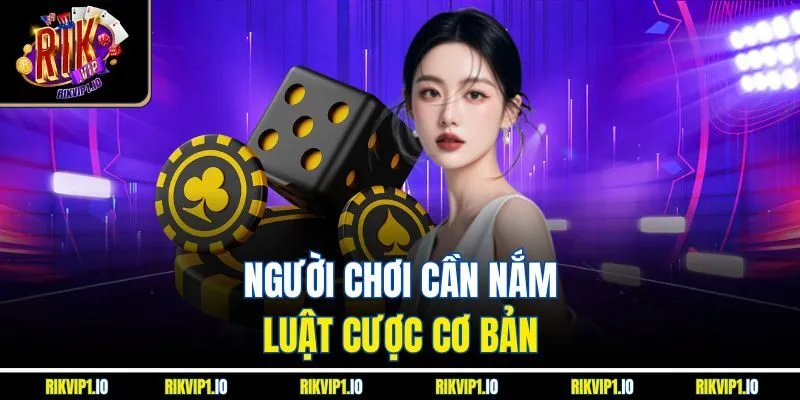 Người chơi cần nắm luật cược cơ bản 