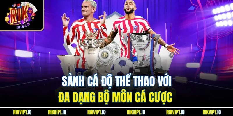 Sảnh cá độ thể thao với đa dạng bộ môn cá cược  